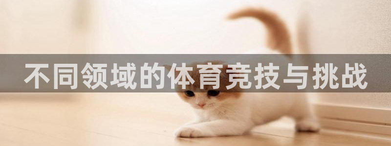 一竞技官网下载平台注册要钱吗安全吗：不同领域的体育竞