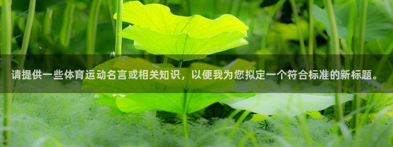 一竞技官网下载平台注册要钱吗安全吗：请提供一些体育运