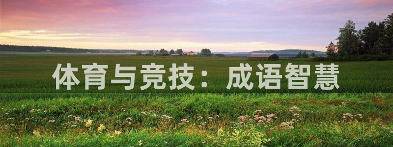 一竞技官方正版app五金厂：体育与竞技：成语智慧