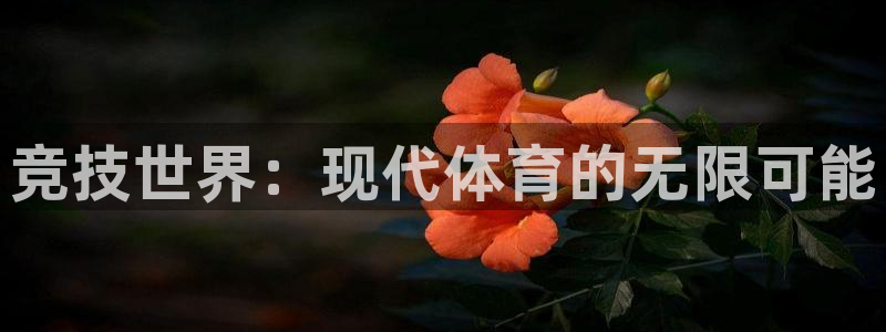 一竞技官网下载平台是正规平台吗：竞技世界：现代体育的
