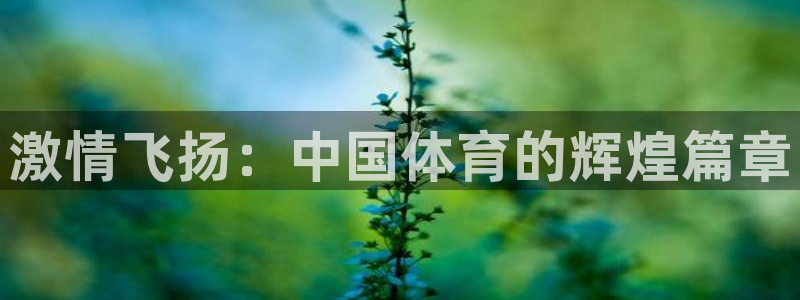 一竞技官网下载平台注册要钱吗安全吗：激情飞扬：中国体