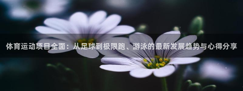 一竞技官方正版app开户：体育运动项目全面：从足球到