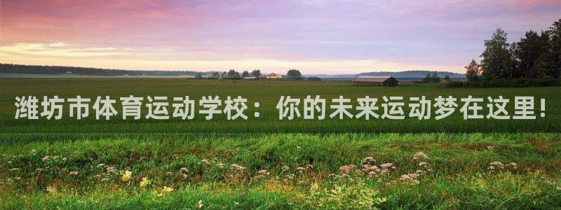 一竞技官方正版app神州：潍坊市体育运动学校：你的未
