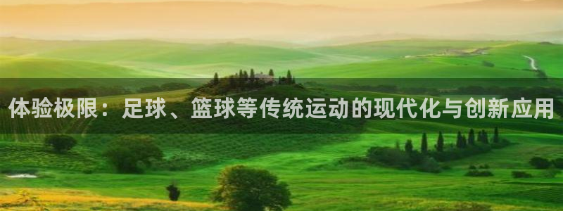 一竞技官网下载平台APP：体验极限：足球、篮球等传统
