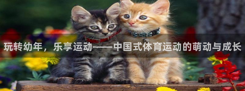 一竞技官网下载：玩转幼年，乐享运动——中国式体育运动