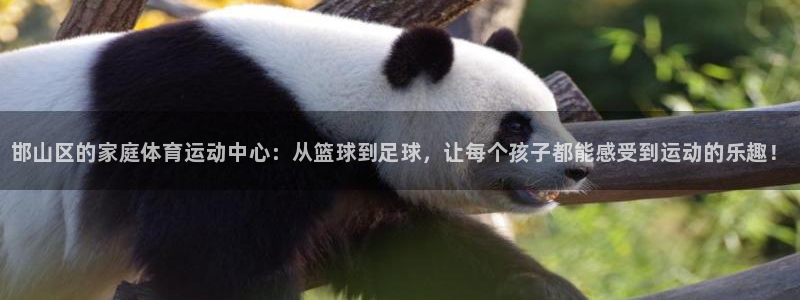 一竞技官方正版app集团E.ON：邯山区的家庭体育运
