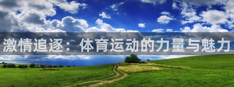 一竞技官方正版app娱乐平台：激情追逐：体育运动的力