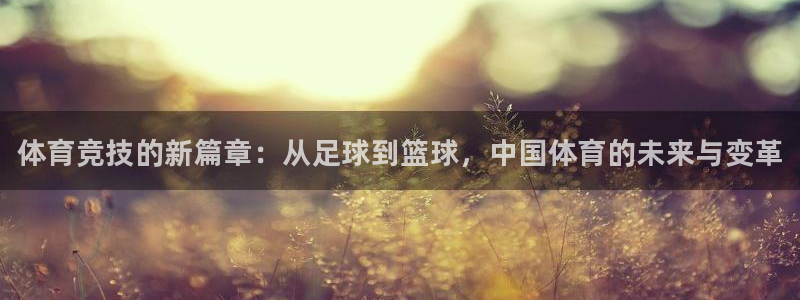 一竞技官网下载平台是正规平台吗：体育竞技的新篇章：从