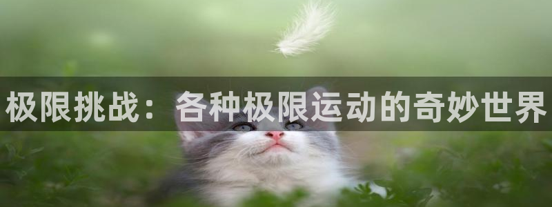 一竞技官方正版app集团E.ON：极限挑战：各种极限