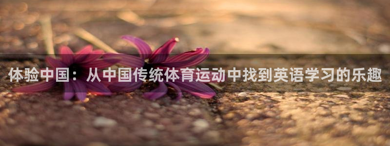 一竞技官网下载平台注册要钱吗是真的吗：体验中国：从中