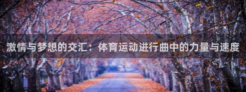 一竞技官网下载招商电话地址是多少：激情与梦想的交汇：体育运动