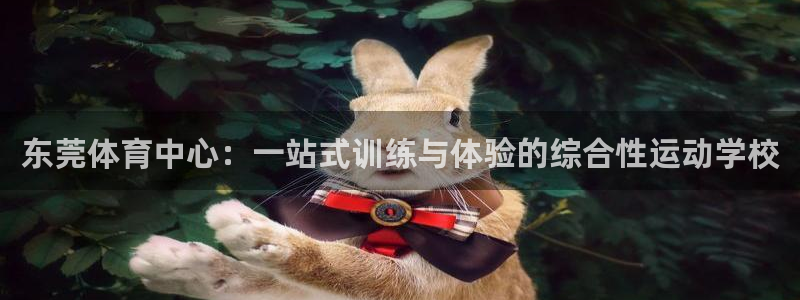 一竞技官网下载平台假的吗是真的吗：东莞体育中心：一站式训练与