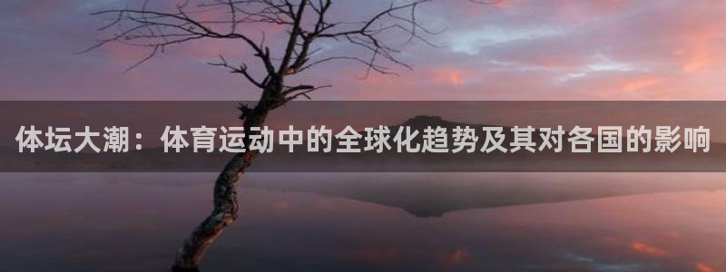 一竞技官网下载平台假的吗是真的吗：体坛大潮：体育运动中的全球