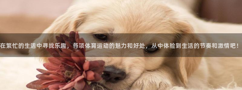 一竞技官方正版app集团官网首页