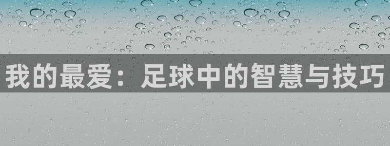 一竞技官网下载招商电话是多少号码：我的最爱：足球中的智慧与技
