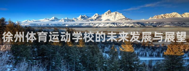一竞技官网下载是干嘛的公司