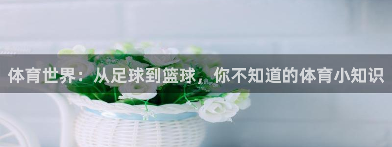 一竞技官方平台体育：体育世界：从足球到篮球，你不知道的体育小