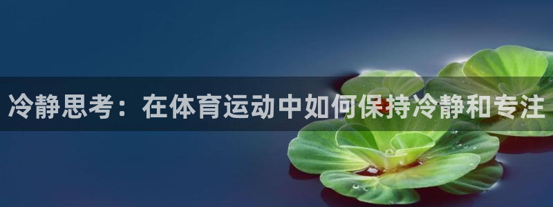 一竞技官方正版app集团官网首页