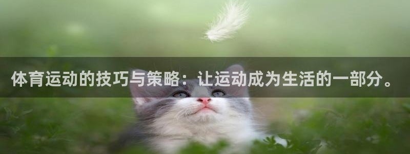 一竞技官方正版app集团：体育运动的技巧与策略：让运动成为生