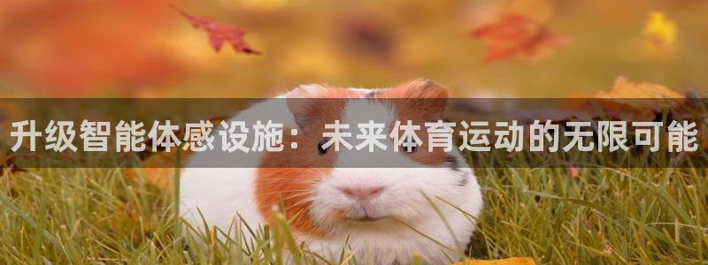 一竞技官网下载平台注册要钱吗是真的吗：升级智能体感设施：未来