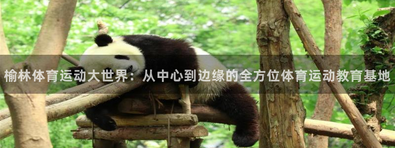 一竞技官方正版app娱乐首页网站大全：榆林体育运动大世界：从