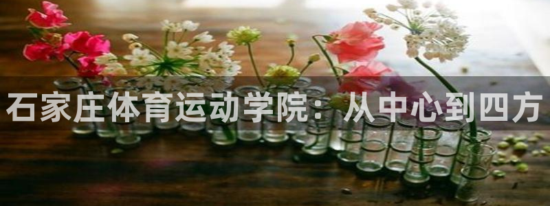 一竞技官网下载平台是正规平台吗：石家庄体育运动学院：从中心到