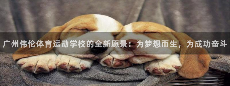 一竞技官网下载娱乐