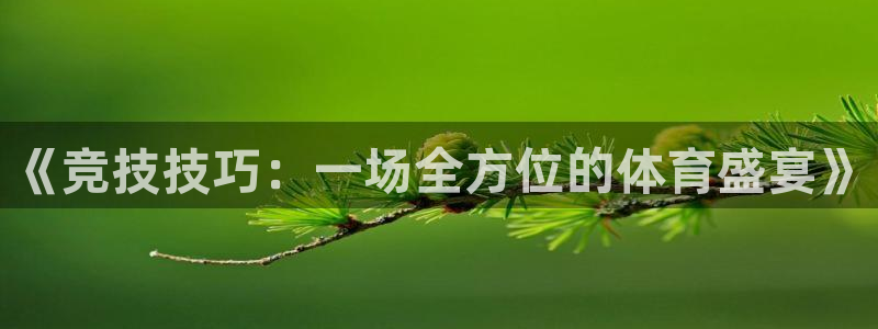 海南一竞技官网下载：《竞技技巧：一场全方位的体育盛宴