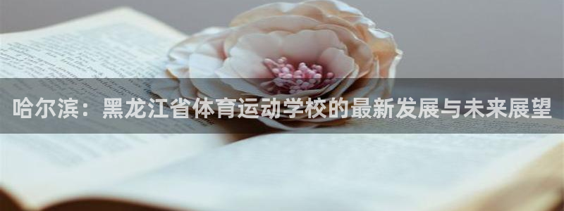 一竞技dota：哈尔滨：黑龙江省体育