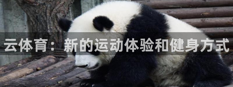 一竞技官网网址是多少：云体育：新的运