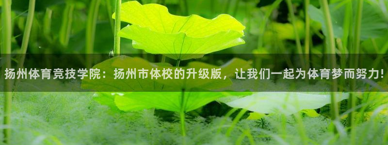 一竞技官网测速入口登录：扬州体育竞技