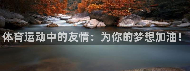 一竞技平台：体育运动中的友情：为你的