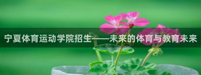 一竞技客服说账号异常：宁夏体育运动学