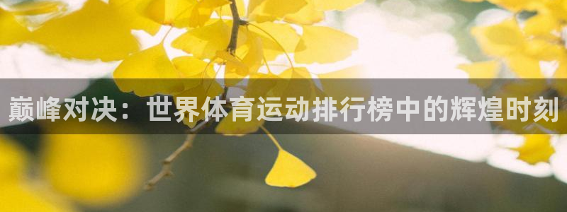 一竞技平台是正规平台吗安全吗：巅峰对