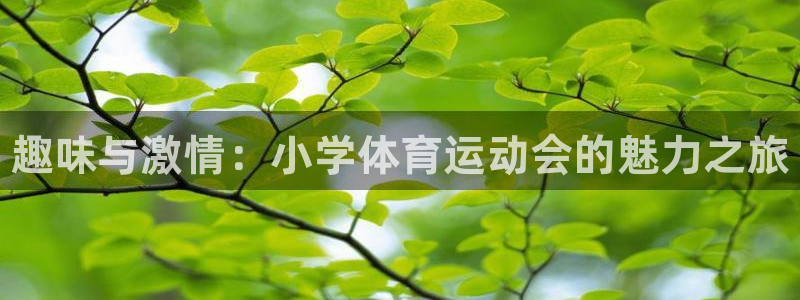 一竞技官方正版app官方