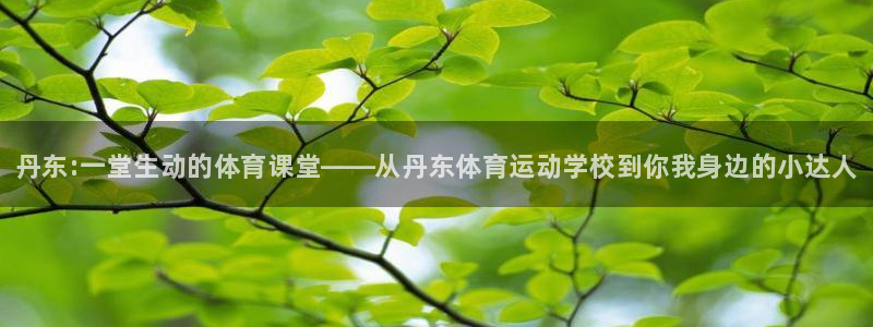 一竞技官方正版app官方