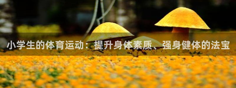 一竞技官方正版app集团简介：小学生的体育运动：提升身体素质